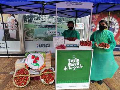 Productoras de frutillas realizan feria este jueves en Asunción | .::Agencia IP::.