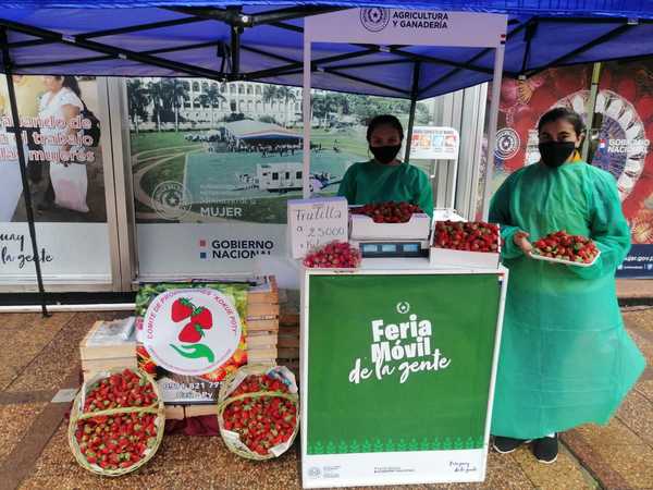 Productoras de frutillas realizan feria este jueves en Asunción | .::Agencia IP::.