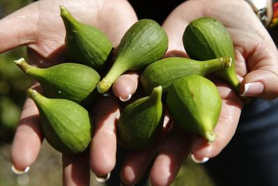 Una joven crea una red de productores usando las TIC para impulsar el agro colombiano - MarketData