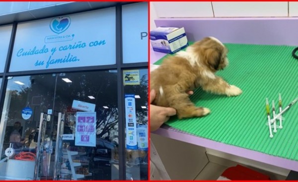 Suman denuncias por negligencia contra reconocida veterinaria