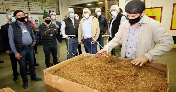 La Nación / “Quedamos sorprendidos”, dice el titular de la UIP tras visita a planta de Tabesa