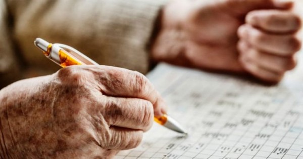 Crucigramas y sudokus: Resolución de acertijos de palabras y números rejuvenece el cerebro hasta 10 años - SNT