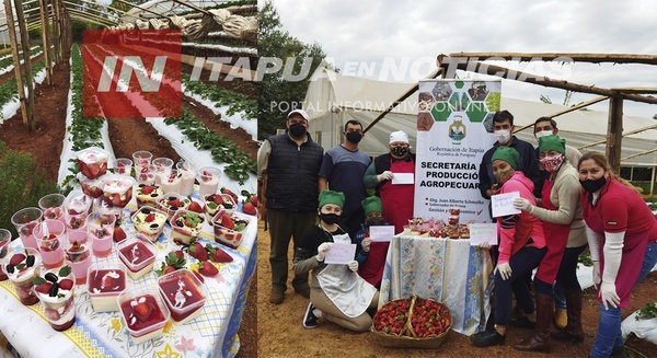 VALOR AGREGADO A LA PRODUCCION REGIONAL DE FRUTILLAS, ES GERENCIADO POR LA GOBERNACIÓN DE ITAPÚA