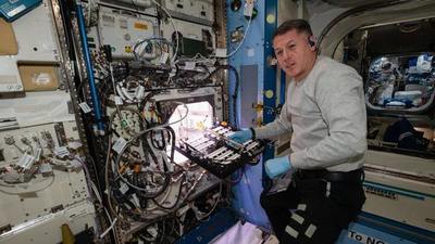 Adiviná qué están cultivando los astronautas de la NASA a bordo de la EEI