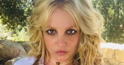 La Nación / #FreeBritney: un ejército digital que va más allá de los fans de la estrella pop