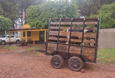 Crónica / Escribana llevó vacas de una abuelita a la Policía