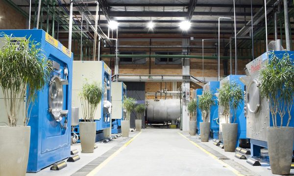 Compañías paraguayas son reconocidas como Empresa B Best For The World™