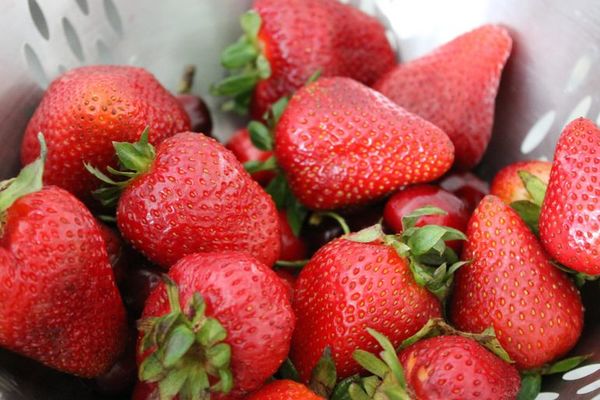 La frutilla, un anticoagulante natural - Estilo de vida - ABC Color