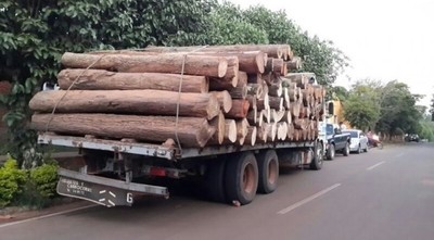 Camioneros pasarán más de tres años en prisión por tráfico de rollos