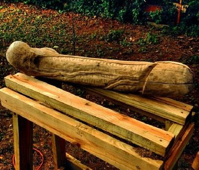 Omoingue ivainape a nuestros insumos chinos: Salud de Argentina compra  penes de madera
