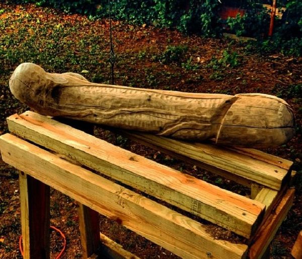 Omoingue ivainape a nuestros insumos chinos: Salud de Argentina compra penes de madera