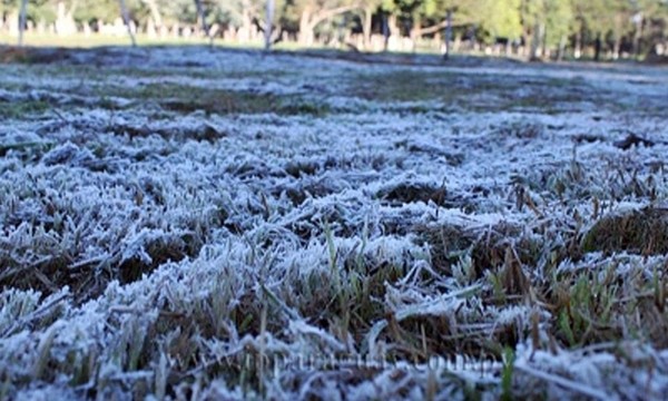 Heladas y escarchas regresarían con frente frío desde el lunes - OviedoPress