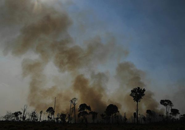 Brasil: estados se unen para proteger la Amazonía sin depender de Bolsonaro - Mundo - ABC Color