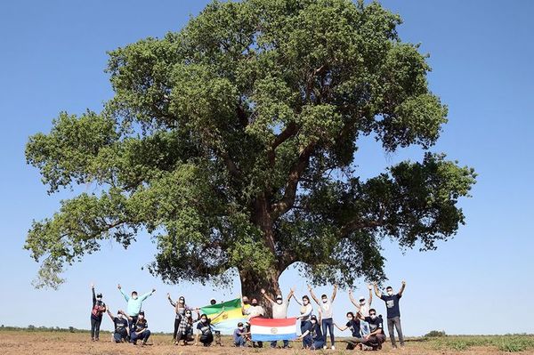 COLOSOS DE LA TIERRA: 10MA EDICIÓN DEL CONCURSO RECONOCIDO A NIVEL INTERNACIONAL