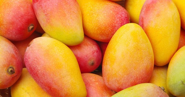 La Nación / Investigación plantea que industrias pueden obtener cristal de azúcar del mango