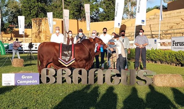 Arrancó la feria Brangus con altos estándares de calidad genética