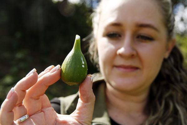 Una joven crea red de productores usando TIC para impulsar el agro colombiano - Tecnología - ABC Color