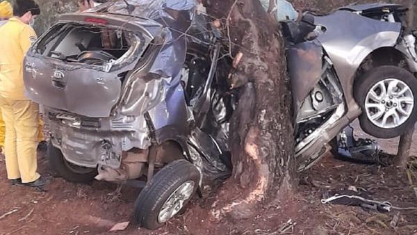 Hijo de Francisco Arce fallece tras chocar contra un árbol en Autopista