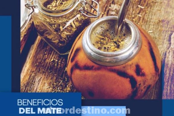 Universidad Sudamericana presenta los impresionante beneficios de la yerba mate, la infusión más popular en nuestra región