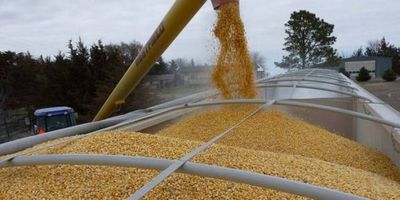 Malas condiciones de navegabilidad generaron reducción de la exportación de soja