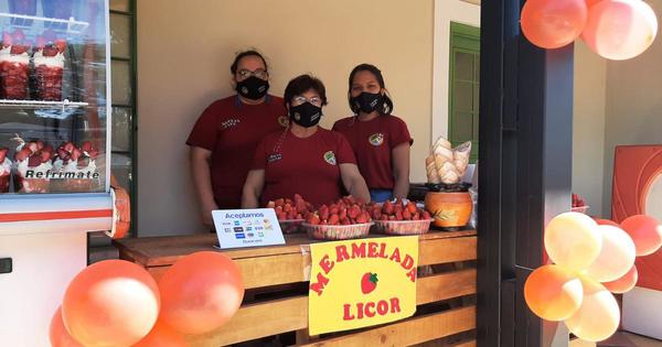 ¡Productores de Areguá ya esperan a los amantes de la frutilla!