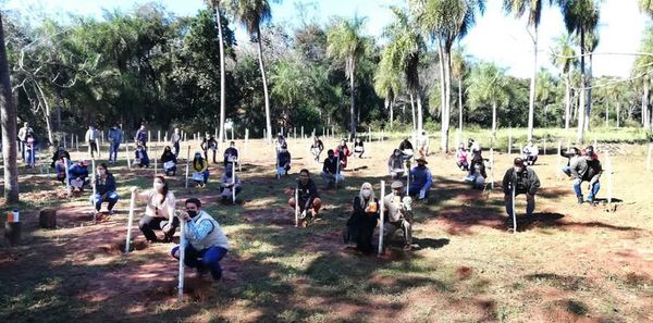 Impulsan producción de yerba mate en Yaguarón - Nacionales - ABC Color