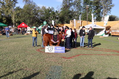 Brangus aseguró el futuro: un ternero de Herrera Agrocomercial S.A. fue el Gran Campeón