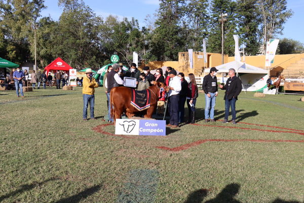 Brangus aseguró el futuro: un ternero de Herrera Agrocomercial S.A. fue el Gran Campeón