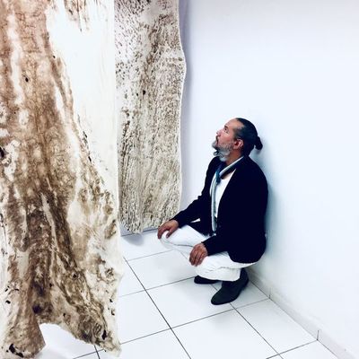 Marcos Benítez presenta “AO/proyecto Herbolario” - Cultura - ABC Color