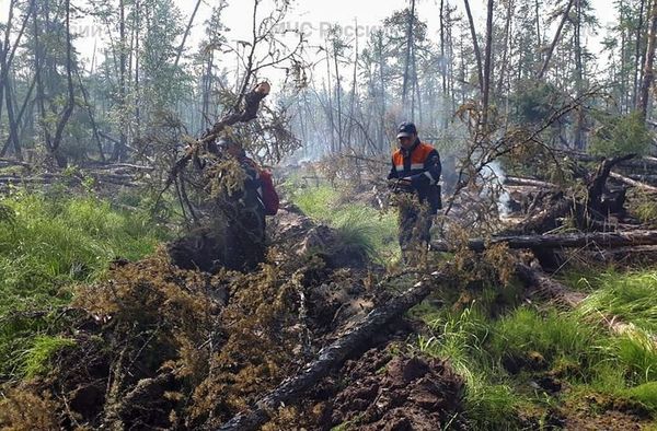 Los incendios forestales en Rusia arrasan ya más de 1,7 millones de hectáreas - Mundo - ABC Color