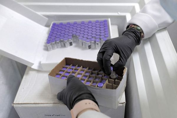 Estudio señala que anticuerpos del COVID-19 persisten 9 meses tras infección - Mundo - ABC Color