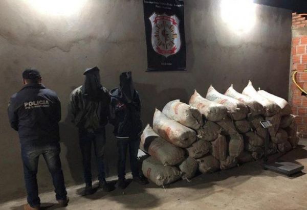 La Policía Nacional capturó este domingo a dos hombres con un total de 512 kilos de marihuana, en un procedimiento realizado en la ciudad de Capitán Bado, Amambay