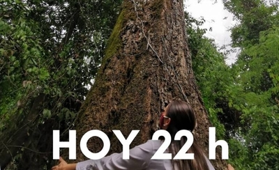 Diario HOY | Hoy cierran las inscripciones al concurso “Colosos de la Tierra”