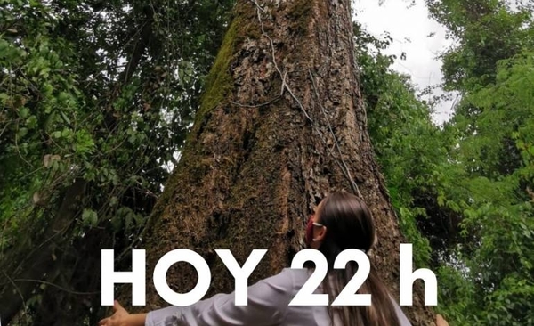 Diario HOY | Hoy cierran las inscripciones al concurso “Colosos de la Tierra”