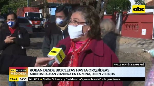Roban desde bicicletas hasta orquídeas - ABC Noticias - ABC Color