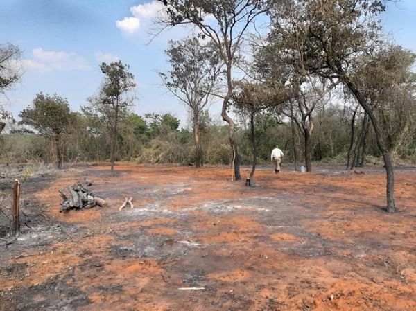 De 263, bajo a 15 la cantidad de focos de calor en Paraguay - Nacionales - ABC Color