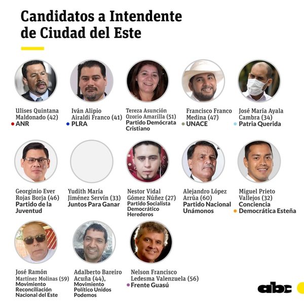 Trece candidatos aspiran a intendencia de Ciudad del Este - ABC en el Este - ABC Color