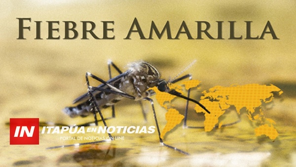 LA FIEBRE AMARILLA FUE ERRADICADA PERO CON EL NIVEL DE INFESTACIÓN ALTO PUEDE REINGRESAR.