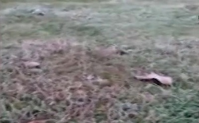 Temperaturas bajo cero se sintieron en el Sur del país - SNT
