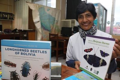 Julieta Ledezma, guardiana y madrina de una decena de insectos en Bolivia - Ciencia - ABC Color