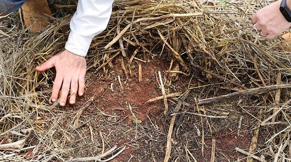 La FAO señala las incertidumbres de sostenibilidad en la producción de alimentos