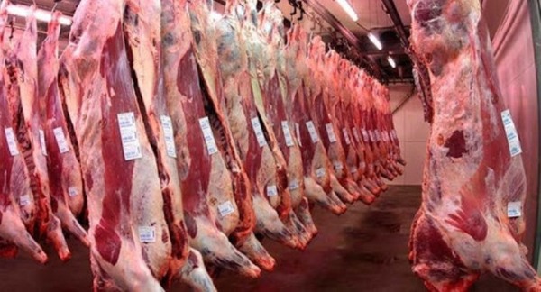Exportaciones de carne aumentaron 4,2% en mayo