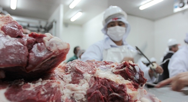 Caída de exportación de carne vacuna afecta a frigoríficos locales