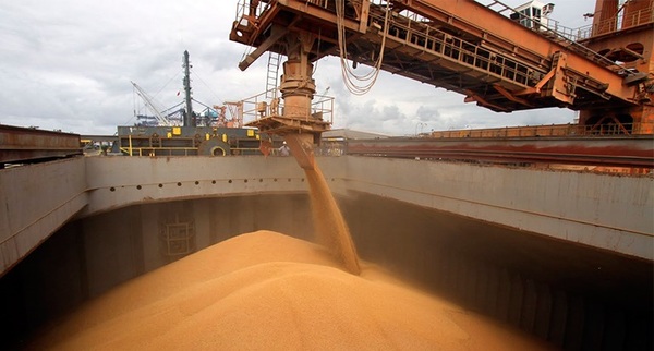 La exportación de soja cayó 28,5% en el 2019 y se espera un fuerte repunte para el 2020