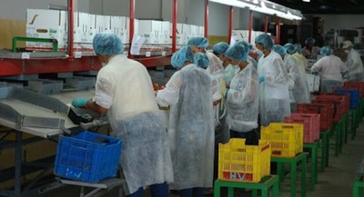 Plan de reactivación económica incluye generación de empleo, protección social y crédito para el desarrollo