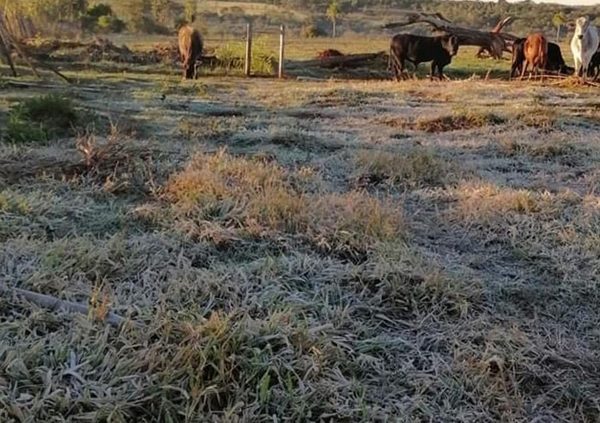Ambiente frío a fresco para hoy martes
