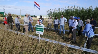 Adaptabilidad de variedades SOJAPAR en el Chaco es valorada por productores