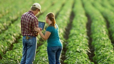 CREA y Koga invitan al sector agroganadero a participar de encuestas para incentivar la innovación