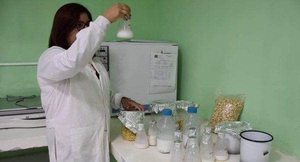 Desarrollan producto alimenticio a base de soja para evaluar sus propiedades químicas y sensoriales