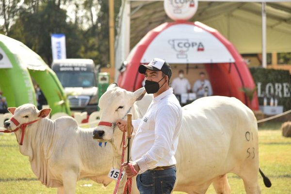 Así será el programa de actividades de la Expo Nacional de Ganadería en septiembre